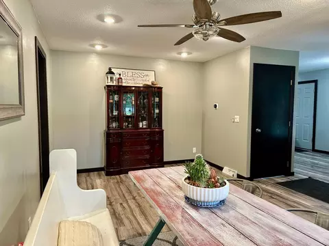 706 Maple St, Danube, MN 56230 photo 33