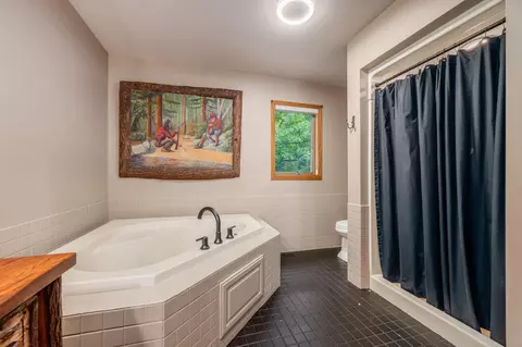 Bath - 51615 Timber Trl, Bigfork, MN 56628 photo 3 of 5