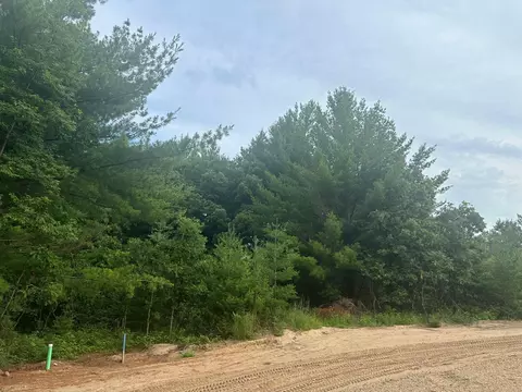 lot8 Blk 1 Ridgewood Dr, Randall, MN 56475