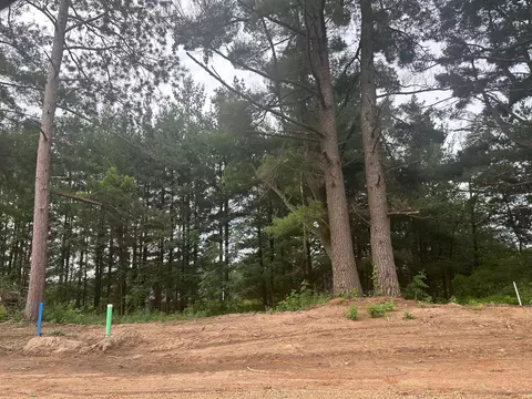 lot2 Blk 2 Ridgewood Dr, Randall, MN 56475
