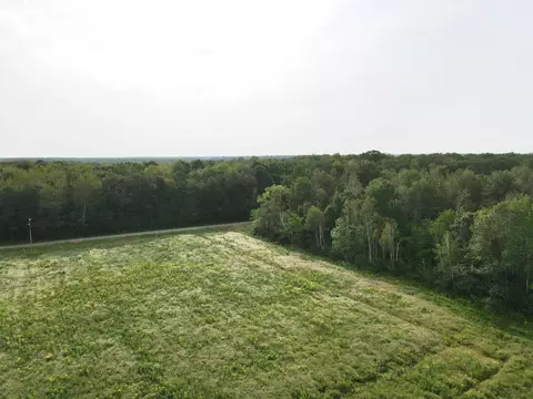 tbd N10ac Marsh Rd, Dailey Twp, MN 56353