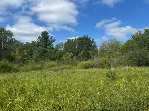 tbd S10ac Marsh Rd, Dailey Twp, MN 56353 photo 10