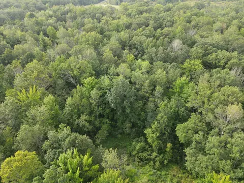 tbd S10ac Marsh Rd, Dailey Twp, MN 56353 photo 9