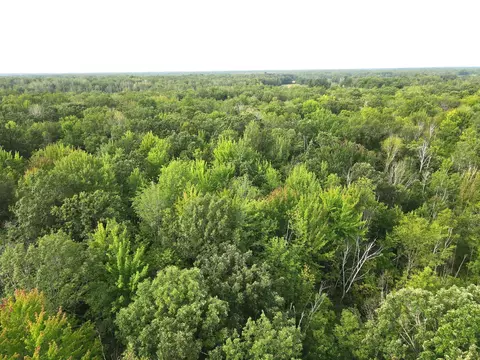 tbd S10ac Marsh Rd, Dailey Twp, MN 56353 photo 5
