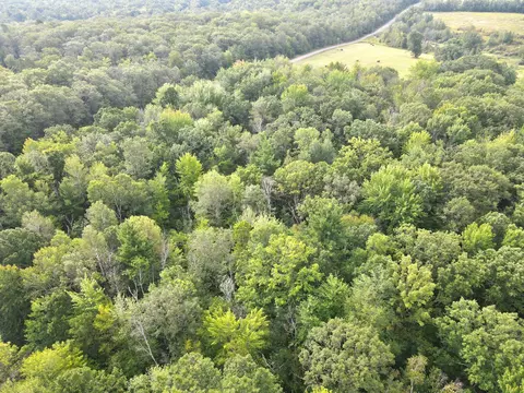 tbd S10ac Marsh Rd, Dailey Twp, MN 56353 photo 11