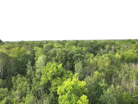 tbd S10ac Marsh Rd, Dailey Twp, MN 56353 photo 3