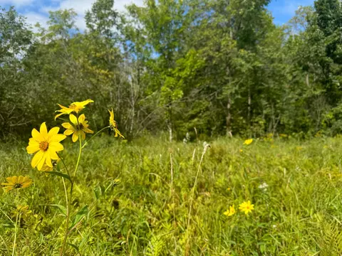 tbd S10ac Marsh Rd, Dailey Twp, MN 56353 photo 8