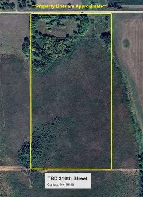 tbd 316th St, Clarissa, MN 56440