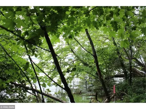 lot8 506th Street Ave, Nessel Twp, MN 55069