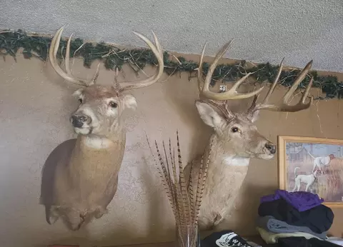 Other - 39401 Us 71, Eagle Bend, MN 56446 photo 2 of 9