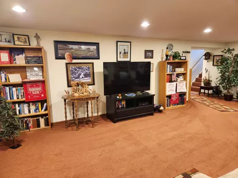 718 S 3rd Ave, Albert Lea, MN 56007 photo 27