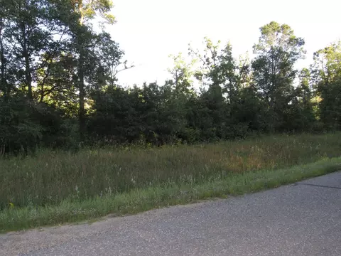 Nnnn 32nd Parcel 4 Avenue Sw, Backus, MN 56435