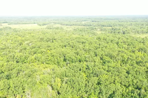 ** Condor, Arna Twp, MN 55072