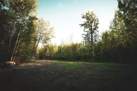 tbd Parcel A Apex Dr, Beatty Twp, MN 55723