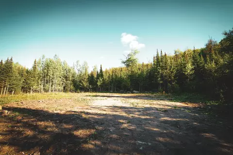 tbd Parcel C Apex Dr, Beatty Twp, MN 55723