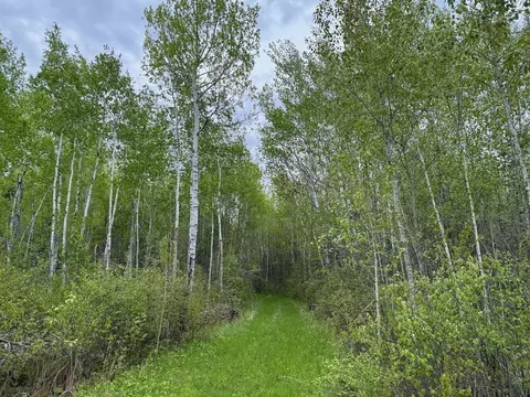 11000 Cr64, Mizpah, MN 56660