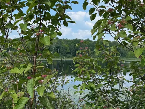 lot Lake Cr25, Mizpah, MN 56660