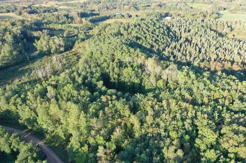 tbd X Bass Lake Rd, Osage, MN 56570
