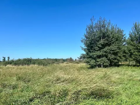 Nnnn 580th Ave, Deer Creek, MN 56527