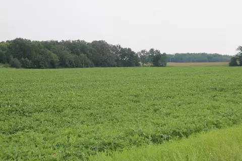 00005 County Rd 14 NE, Spruce Hill Twp, MN 56446
