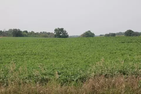 00002 County Rd 14 NE, Spruce Hill Twp, MN 56446