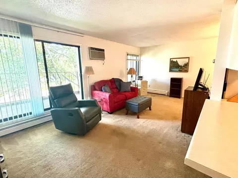 4110 Rahn Rd #319, Eagan, MN 55122 photo 2