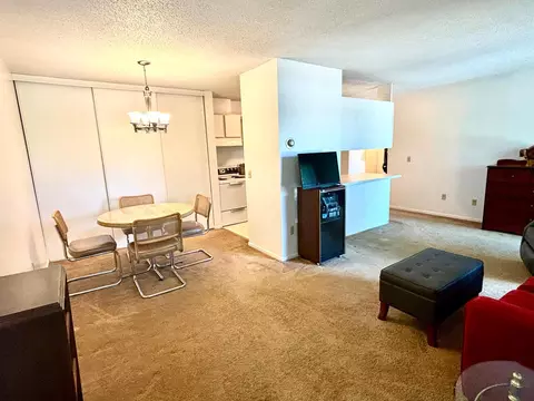 4110 Rahn Rd #319, Eagan, MN 55122 photo 4