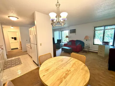 4110 Rahn Rd #319, Eagan, MN 55122 photo 5
