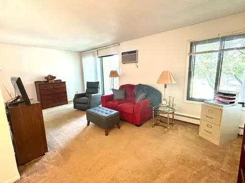 4110 Rahn Rd #319, Eagan, MN 55122 photo 3