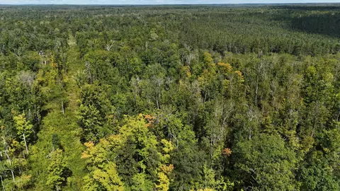 Nnn Duxbury Road, Sandstone, MN 55072
