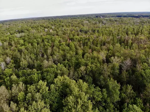 1 Xyz County Road 6, Skelton Twp, MN 55707