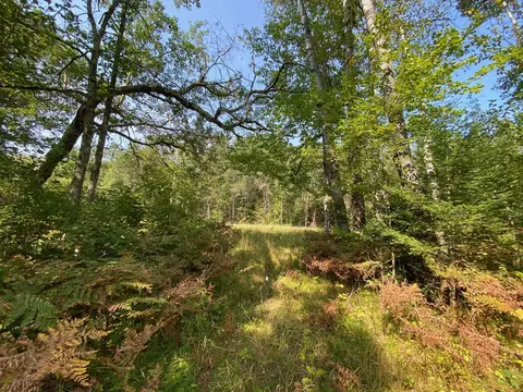 Nnnn Lake Avenue, Mcgregor, MN 55760