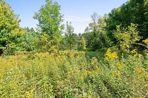 Nnn Lot 4 Maple Drive, Saint Croix Falls, WI 54024