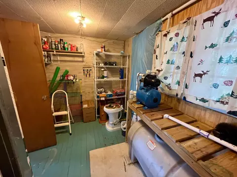 49607 E Long Lake Forest Rd, Bigfork, MN 56628 photo 12