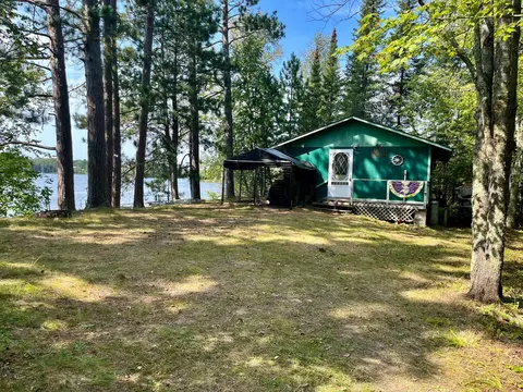 49607 E Long Lake Forest Rd, Bigfork, MN 56628 photo 13