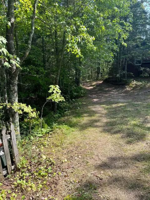 49607 E Long Lake Forest Rd, Bigfork, MN 56628 photo 21