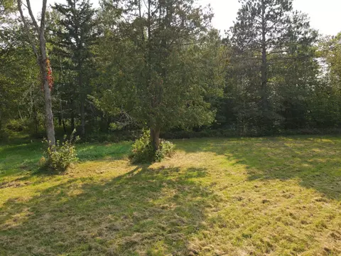 51401 Wolf Dr, Deer River, MN 56636 photo 6