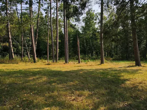 51401 Wolf Dr, Deer River, MN 56636 photo 8
