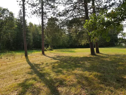 51401 Wolf Dr, Deer River, MN 56636 photo 3