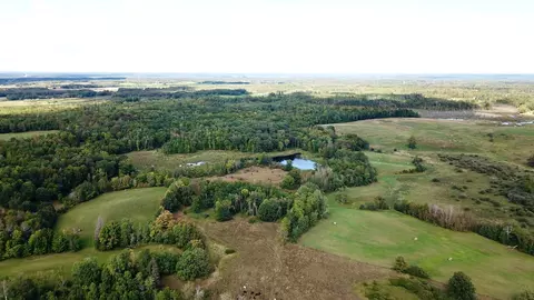 tbd 450th St, Leonard, MN 56652