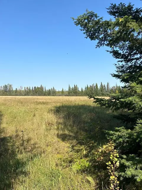 tbd Wilen Rd, Waasa Twp, MN 55723