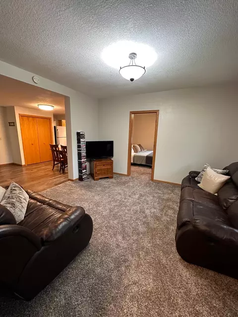 613 S Section Ave, Spring Valley, MN 55975 photo 3