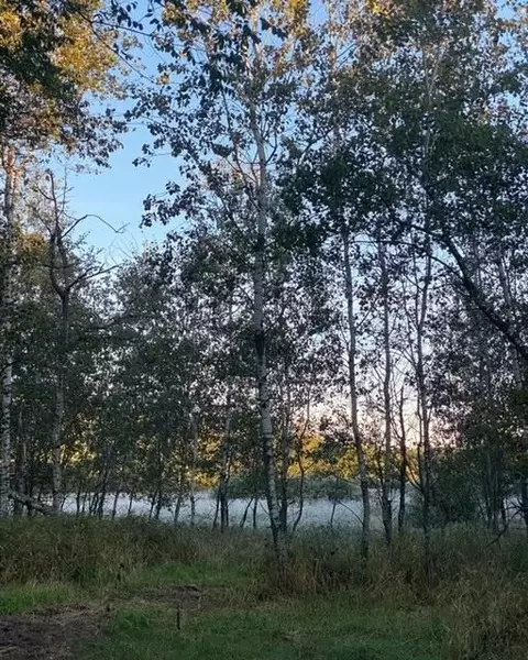 4940 County Road 85, Becker, MN 55308 photo 27