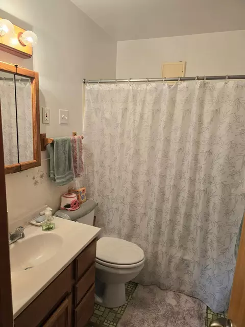 Bath - 39 Front St, Littlefork, MN 56653 photo 1 of 1