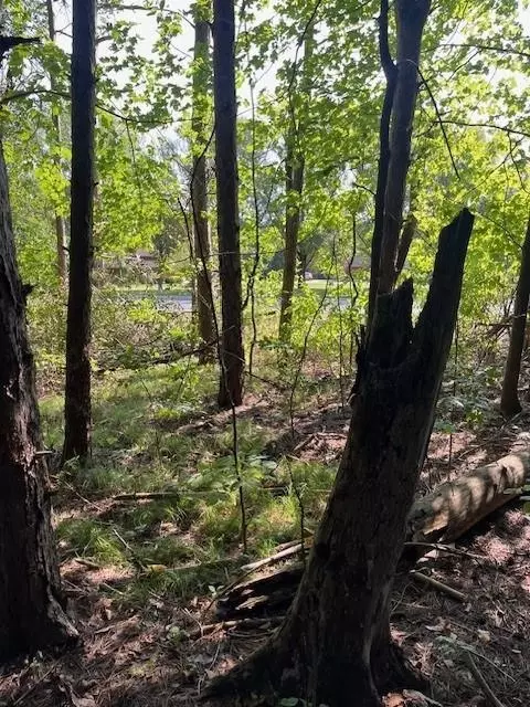 16 County Road B, Spring Valley, WI 54028