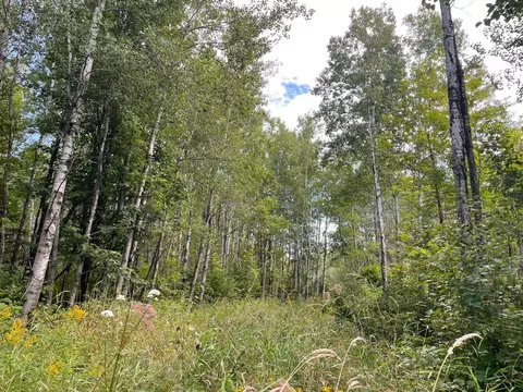 38 Nn Hytten Acres Trl, Gnesen Twp, MN 55803