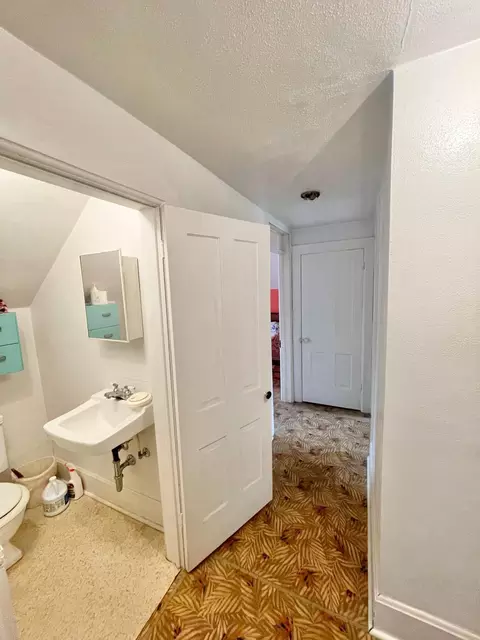 302 E Sanborn St, Springfield, MN 56087 photo 22
