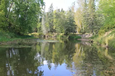 Nnn Quiring Rd, Blackduck, MN 56630