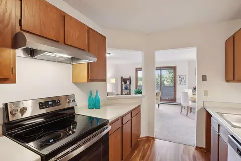 2425 E Franklin Ave #411, Minneapolis, MN 55406 photo 9