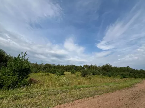 Nnn Grouse Street, Sandstone, MN 55072